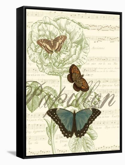 Papillon Melange II-null-Framed Stretched Canvas