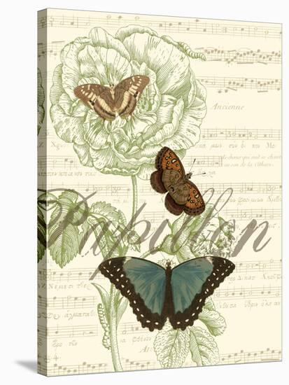 Papillon Melange II-null-Stretched Canvas