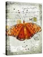 Papillon V-Ken Hurd-Stretched Canvas