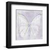 Papillon XlV-null-Framed Art Print