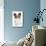 Papillon-null-Mounted Photographic Print displayed on a wall