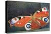Papillon-Ruth Addinall-Stretched Canvas