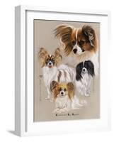 Papillon-Barbara Keith-Framed Giclee Print