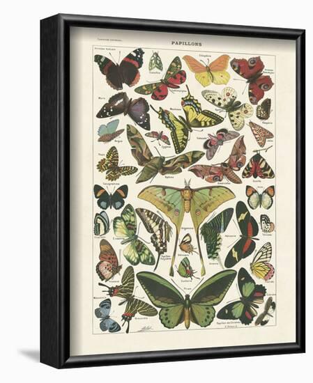 Papillons I-Adolphe Millot-Framed Art Print