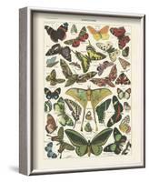 Papillons I-Adolphe Millot-Framed Art Print