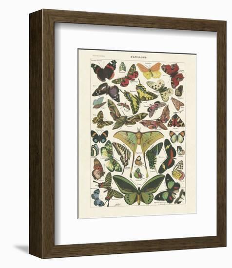 Papillons I-Adolphe Millot-Framed Art Print