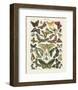 Papillons I-Adolphe Millot-Framed Art Print