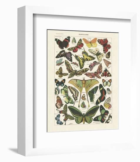 Papillons I-Adolphe Millot-Framed Art Print