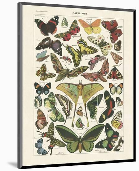 Papillons I-Adolphe Millot-Mounted Art Print