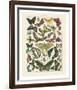 Papillons I-Adolphe Millot-Framed Art Print