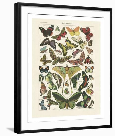 Papillons I-Adolphe Millot-Framed Art Print