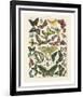 Papillons I-Adolphe Millot-Framed Art Print