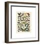 Papillons I-Adolphe Millot-Framed Giclee Print