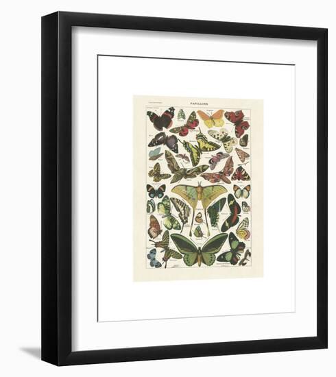 Papillons I-Adolphe Millot-Framed Giclee Print