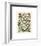 Papillons I-Adolphe Millot-Framed Giclee Print