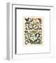 Papillons I-Adolphe Millot-Framed Giclee Print