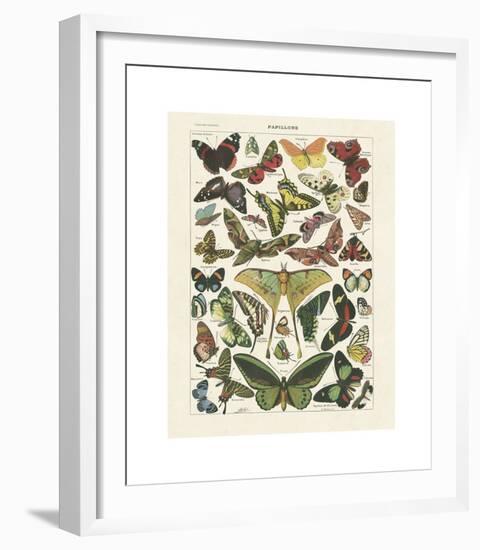 Papillons I-Adolphe Millot-Framed Giclee Print