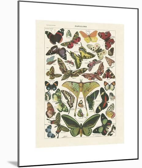 Papillons I-Adolphe Millot-Mounted Giclee Print