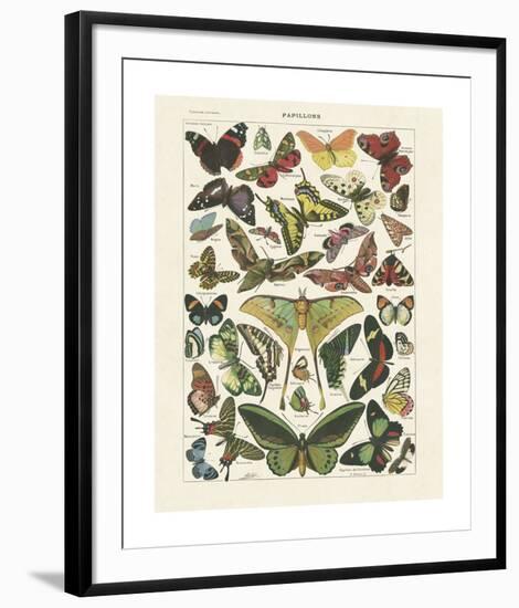 Papillons I-Adolphe Millot-Framed Giclee Print