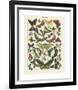 Papillons I-Adolphe Millot-Framed Giclee Print