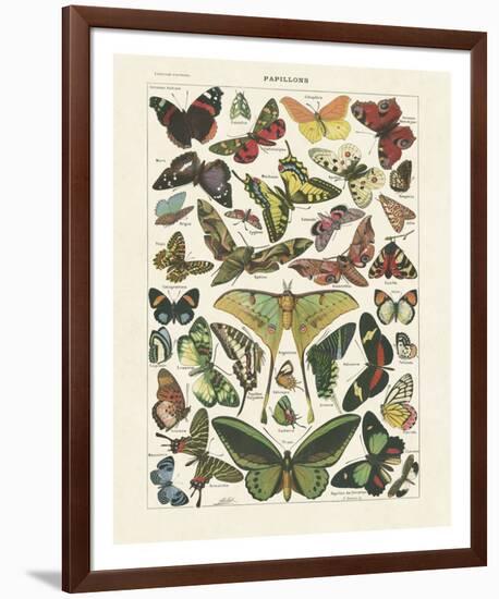 Papillons I-Adolphe Millot-Framed Giclee Print