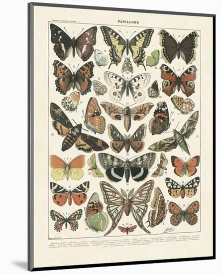 Papillons II-Adolphe Millot-Mounted Art Print