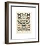 Papillons II-Adolphe Millot-Framed Giclee Print