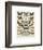 Papillons II-Adolphe Millot-Framed Giclee Print