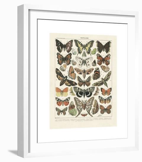 Papillons II-Adolphe Millot-Framed Giclee Print