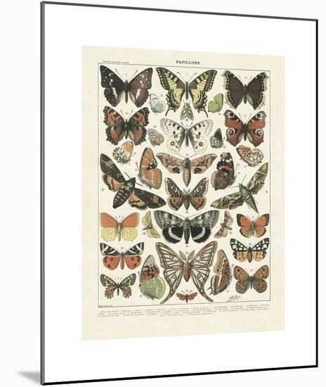 Papillons II-Adolphe Millot-Mounted Giclee Print