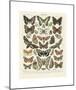 Papillons II-Adolphe Millot-Mounted Giclee Print