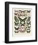 Papillons III-Adolphe Millot-Framed Art Print