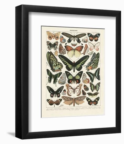 Papillons III-Adolphe Millot-Framed Art Print