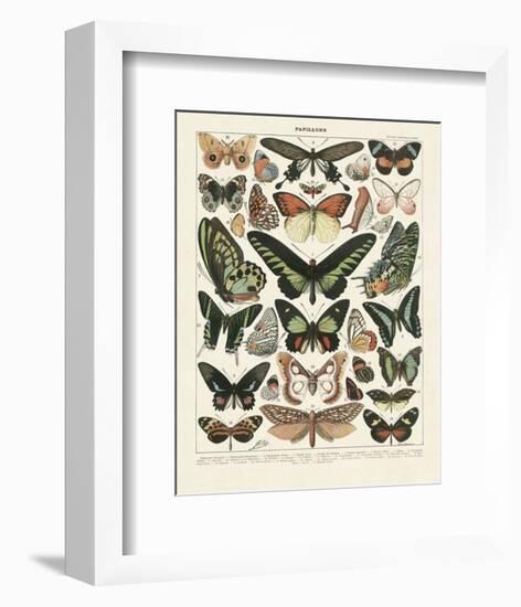 Papillons III-Adolphe Millot-Framed Art Print