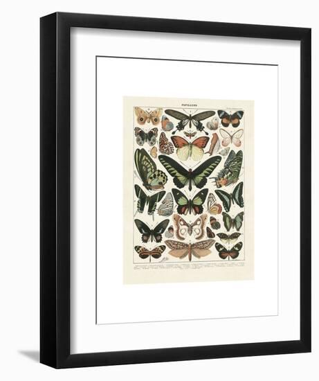 Papillons III-Adolphe Millot-Framed Art Print
