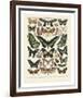 Papillons III-Adolphe Millot-Framed Art Print