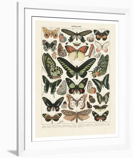 Papillons III-Adolphe Millot-Framed Art Print