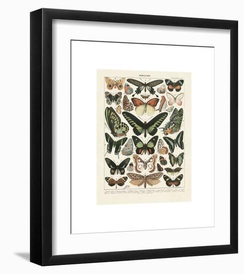 Papillons III-Adolphe Millot-Framed Giclee Print