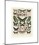 Papillons III-Adolphe Millot-Mounted Giclee Print