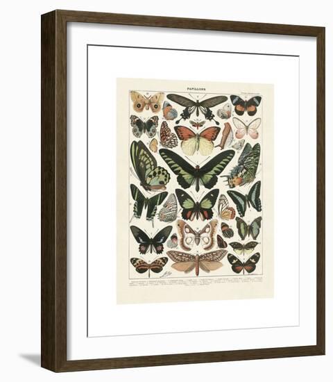 Papillons III-Adolphe Millot-Framed Giclee Print