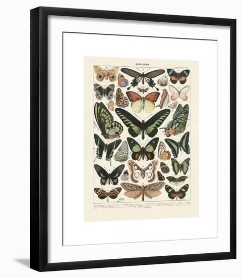 Papillons III-Adolphe Millot-Framed Giclee Print