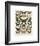 Papillons III-Adolphe Millot-Framed Giclee Print