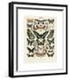 Papillons III-Adolphe Millot-Framed Giclee Print