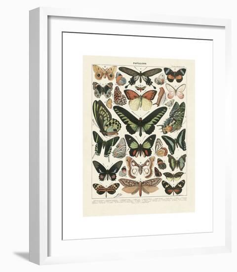 Papillons III-Adolphe Millot-Framed Giclee Print