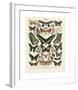 Papillons III-Adolphe Millot-Framed Giclee Print