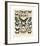 Papillons III-Adolphe Millot-Framed Giclee Print