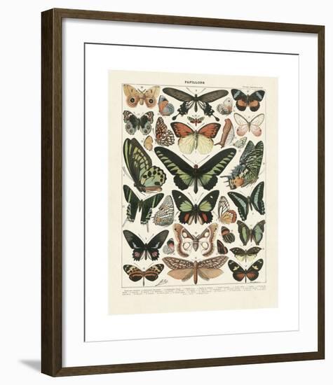 Papillons III-Adolphe Millot-Framed Giclee Print