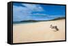 Papohaku Beach, Island of Molokai, Hawaii, United States of America, Pacific-Michael Runkel-Framed Stretched Canvas