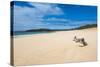 Papohaku Beach, Island of Molokai, Hawaii, United States of America, Pacific-Michael Runkel-Stretched Canvas