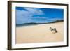 Papohaku Beach, Island of Molokai, Hawaii, United States of America, Pacific-Michael Runkel-Framed Photographic Print